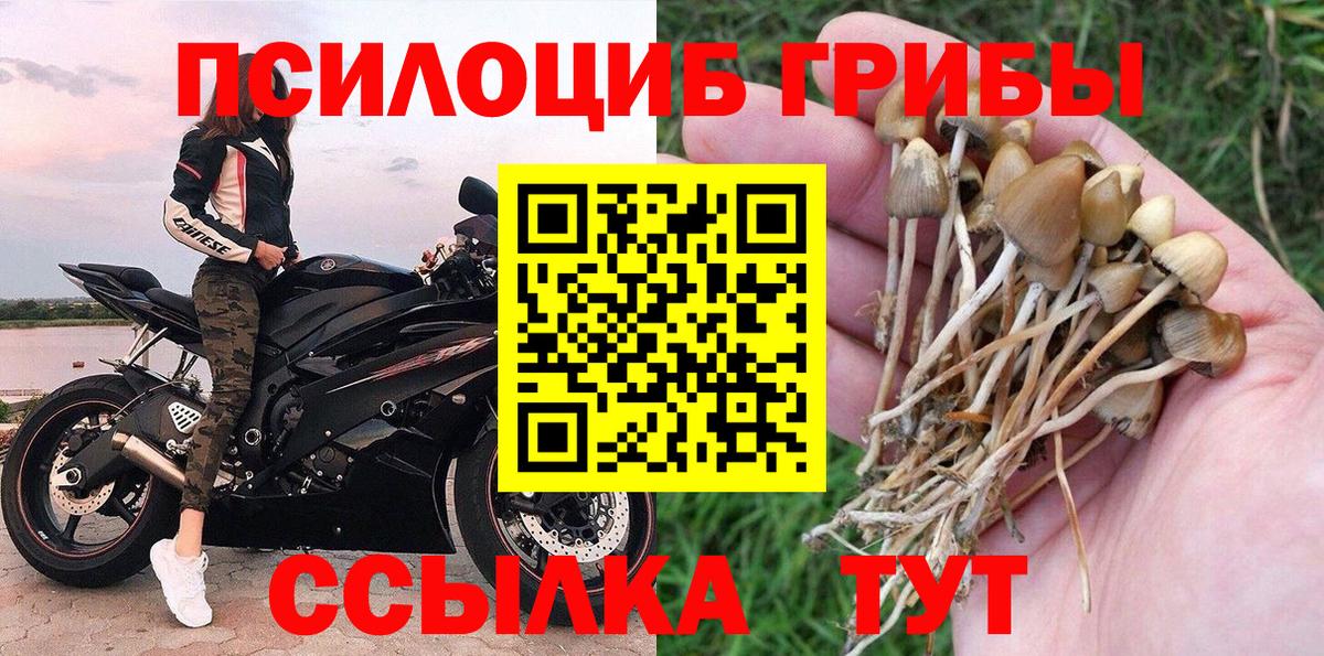 Псилоцибиновые грибы прущие грибы Усолье-Сибирское